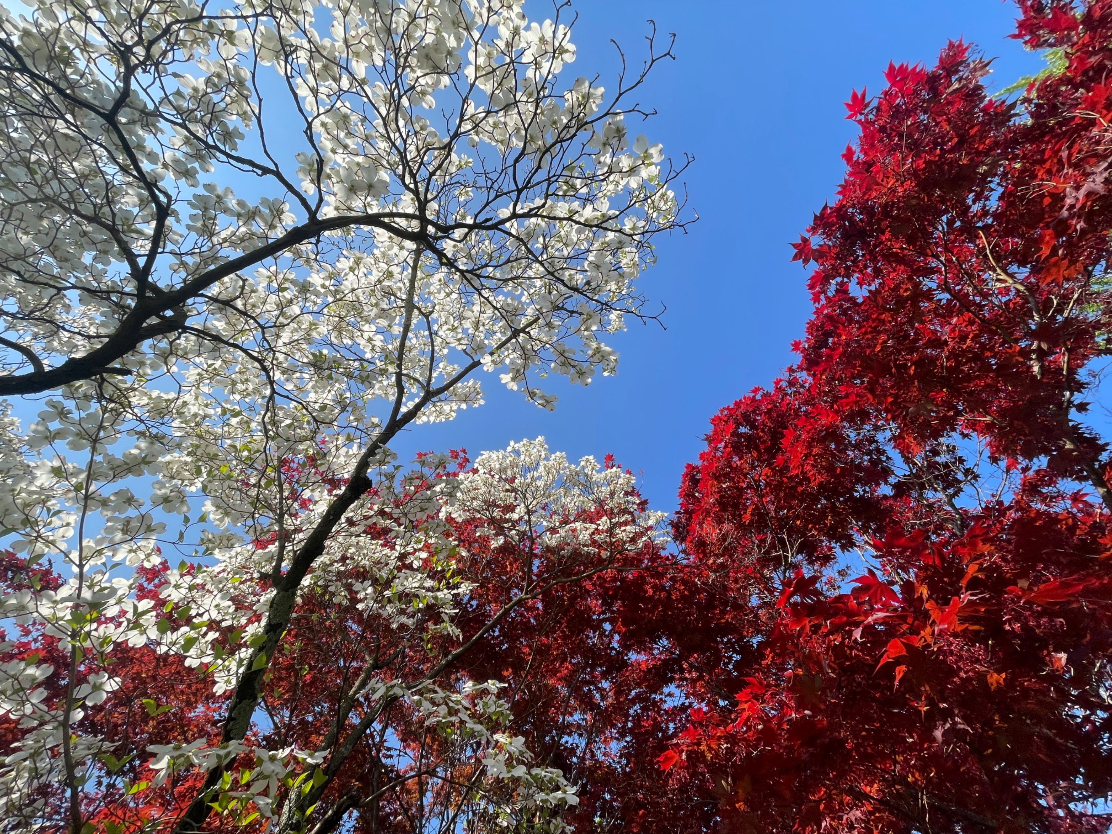 Hudson Valley Natural Landscapes